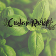 Cedar Reef